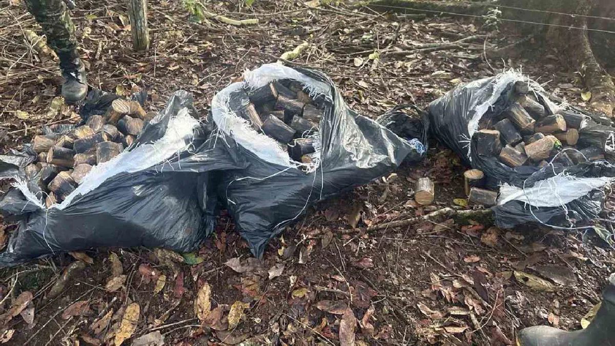 Las Fuerzas Militares encuentran explosivos de disidencias de ‘Iván Márquez’