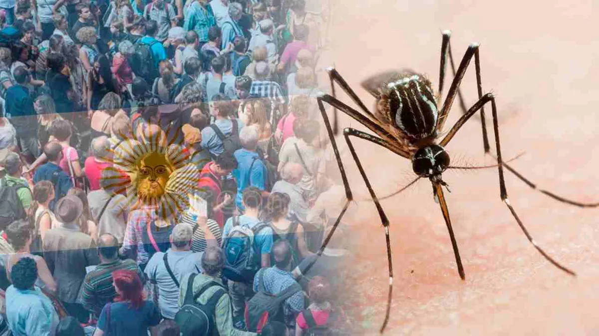 Brote de dengue en Argentina: Llevan más de 78 mil casos en lo corrido de 2024