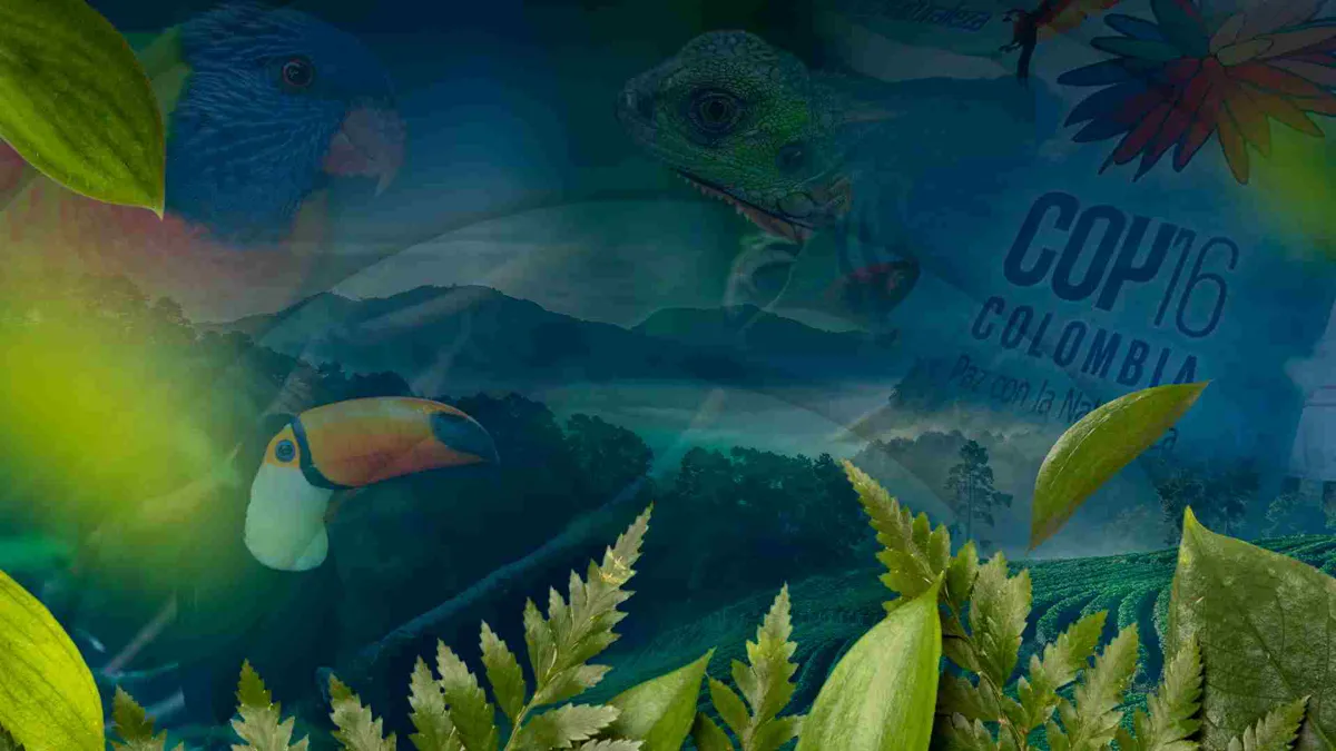 Claves del acuerdo de biodiversidad de la COP16, la hoja de ruta para proteger al mundo