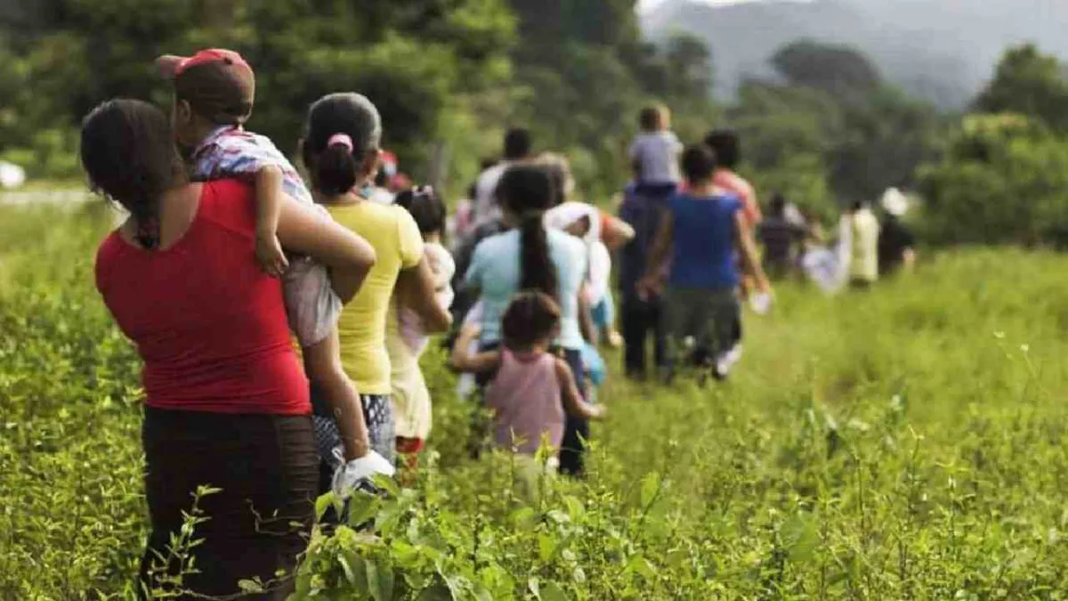 Más de 3.000 desplazados por conflicto en el Pacífico durante lo corrido de enero 2024
