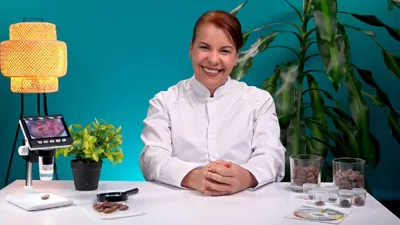 Platzi y Swisscontact forman a 2.800 personas en Colombia con cursos de cacao, bosques y exportación