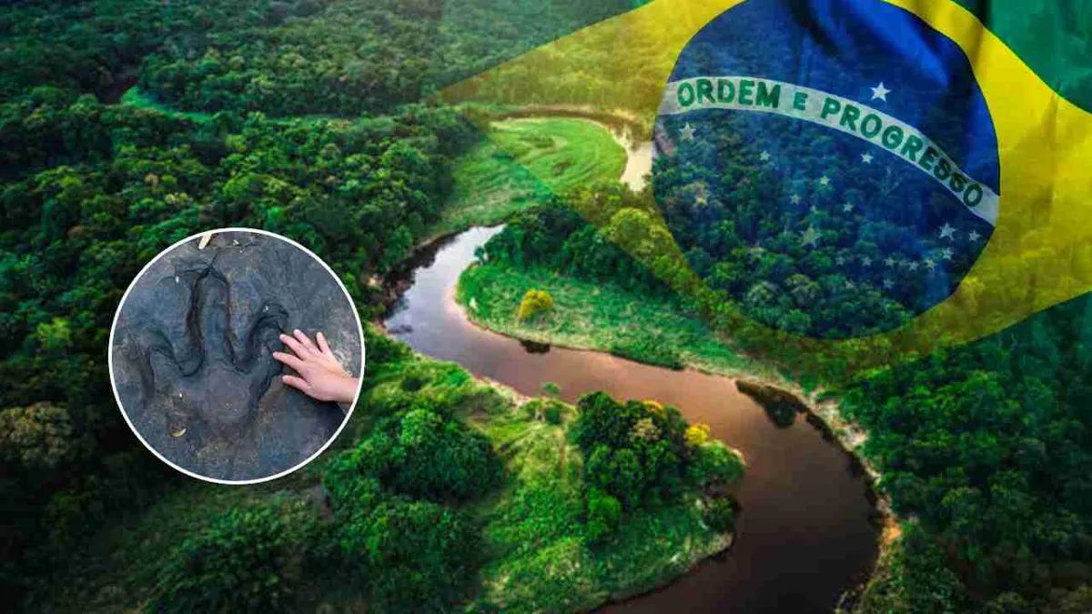 Estudio descubre huellas de dinosaurio en Amazonia de Brasil