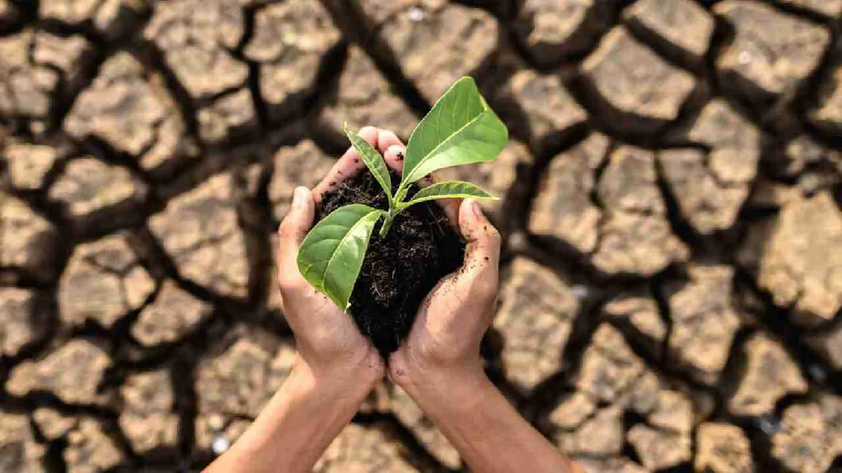 El Gobierno basa su transición climática en la sostenibilidad y busca inversión