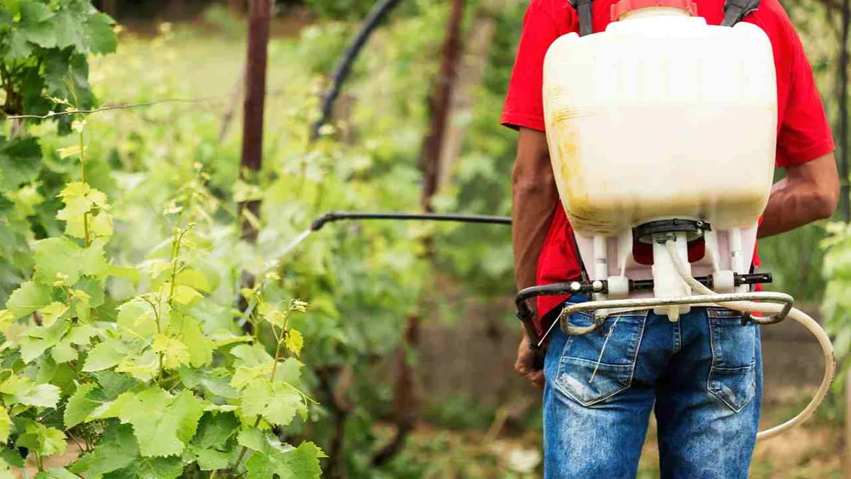 Expertos estudian la prohibición de químicos potencialmente peligrosos