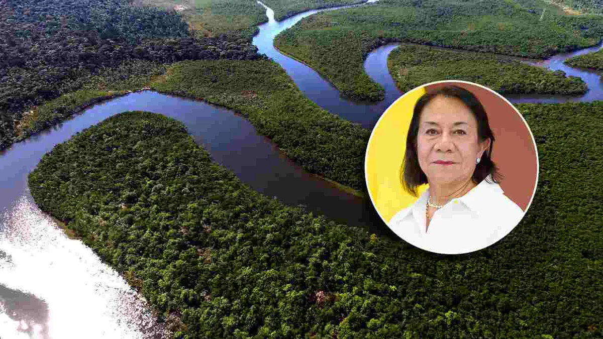 Colombia advierte que la Amazonía está “en riesgo de alcanzar un punto de no retorno”
