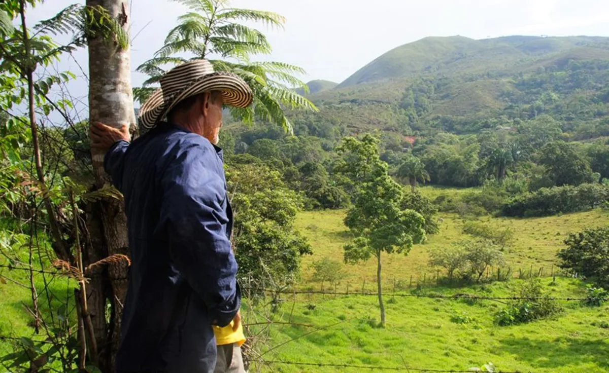 La ONU designa a Colombia sede de II Conferencia Internacional de Reforma Agraria en 2026