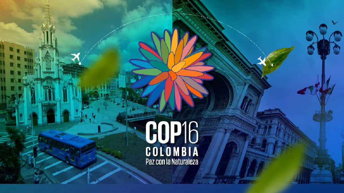 Las negociaciones de la COP16 sobre Biodiversidad inacabadas en Cali se retomarán en Roma