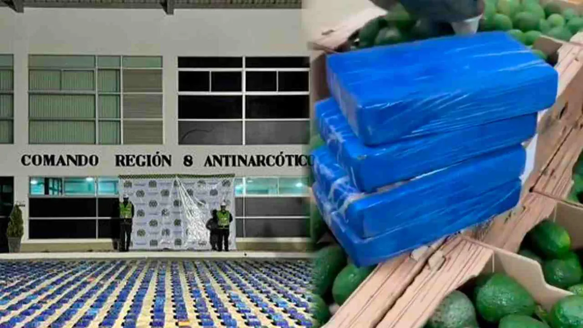 Encuentran 1,7 toneladas de cocaína en cargamento de aguacates