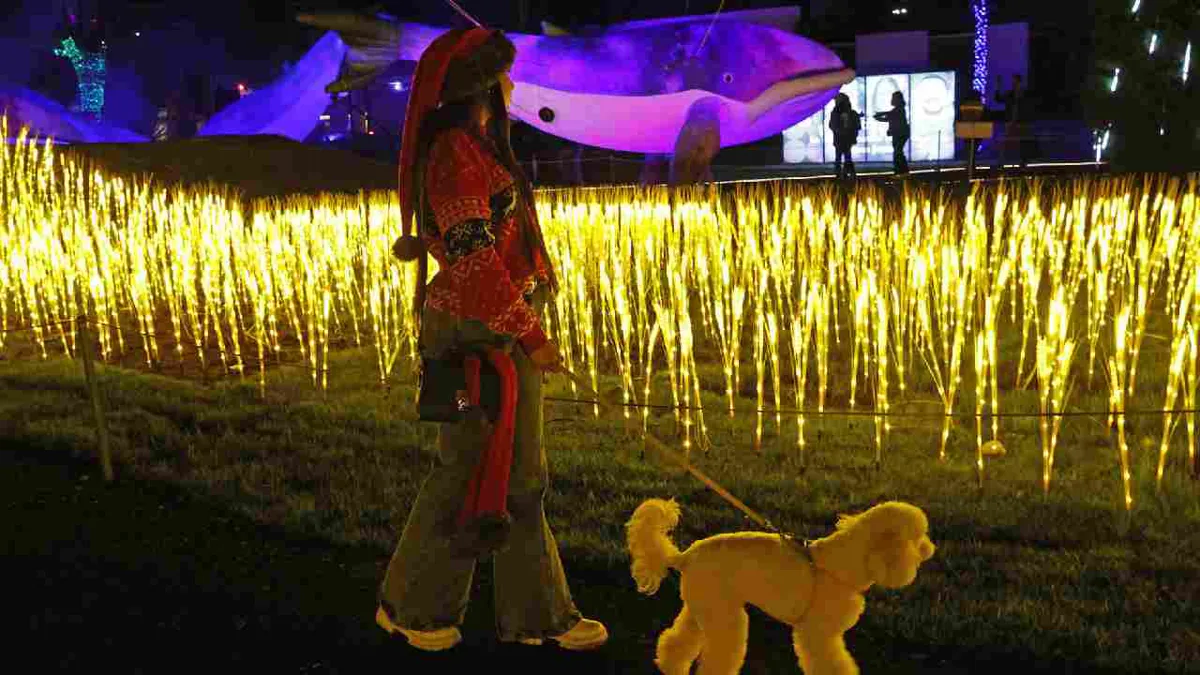 ‘Festival de luces Brilla’: Encienden la Navidad en Bogotá con una apuesta sostenible