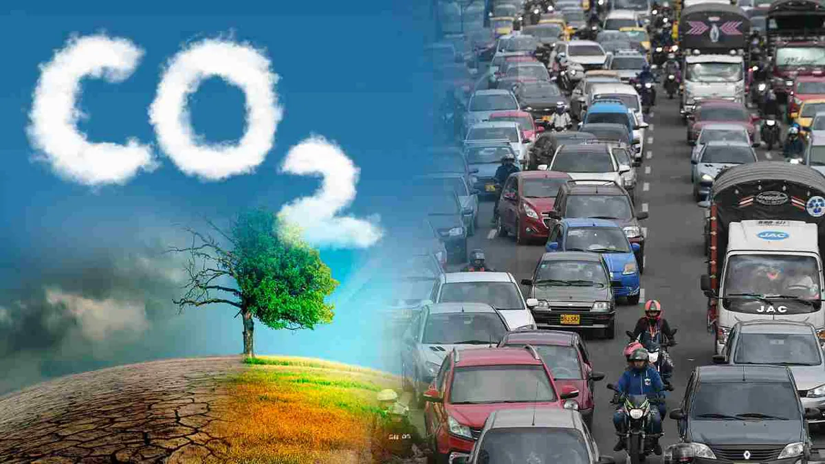 Producción de cocaína tiene efectos en el cambio climático