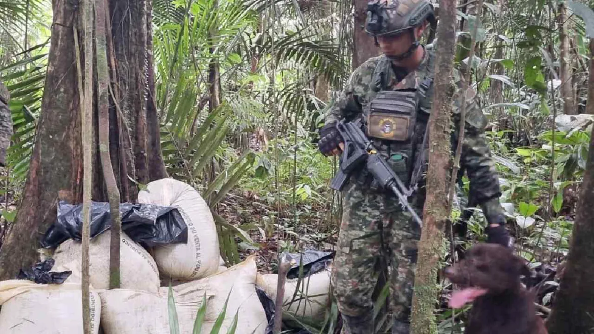 Ejército destruye explosivos con los que disidencias planeaban fabricar 2.500 minas