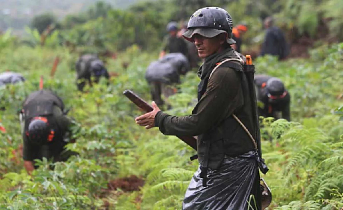 Colombia a la expectativa por certificación del gobierno de EE.UU.