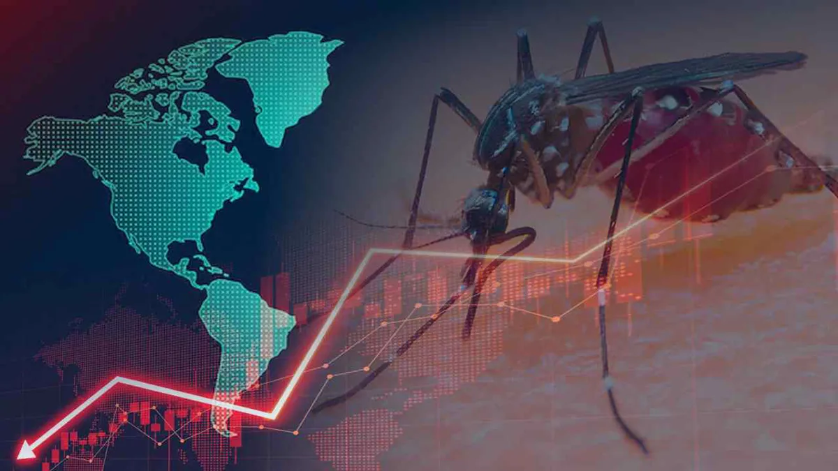 Las muertes por malaria bajaron en América un 61,8 %, según la OMS