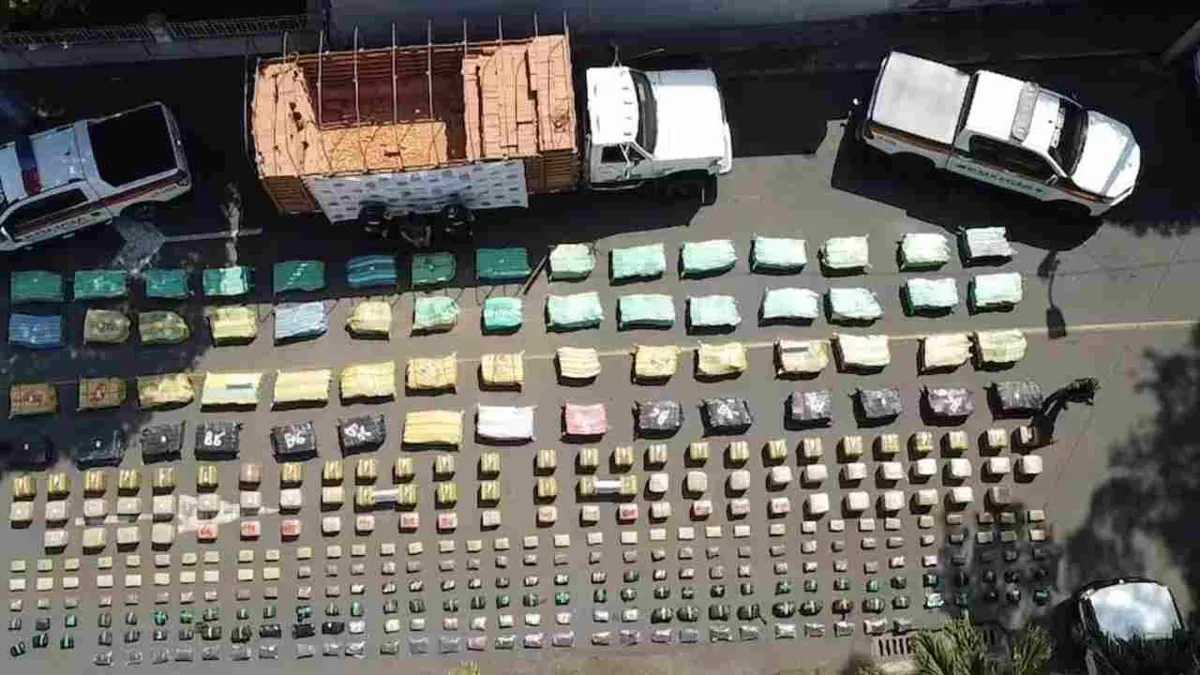 Incautan tres toneladas de marihuana escondidas en un camión en Valle del Cauca