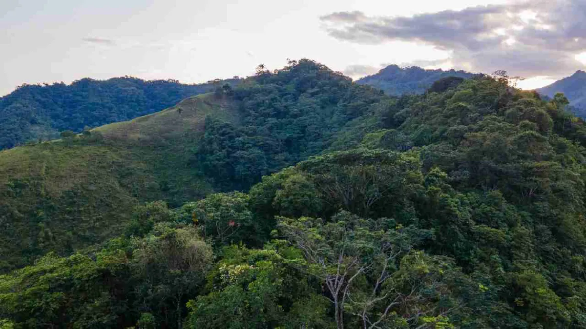 Gobierno anuncia las metas para proteger la biodiversidad al 2030 que presentará en la COP16
