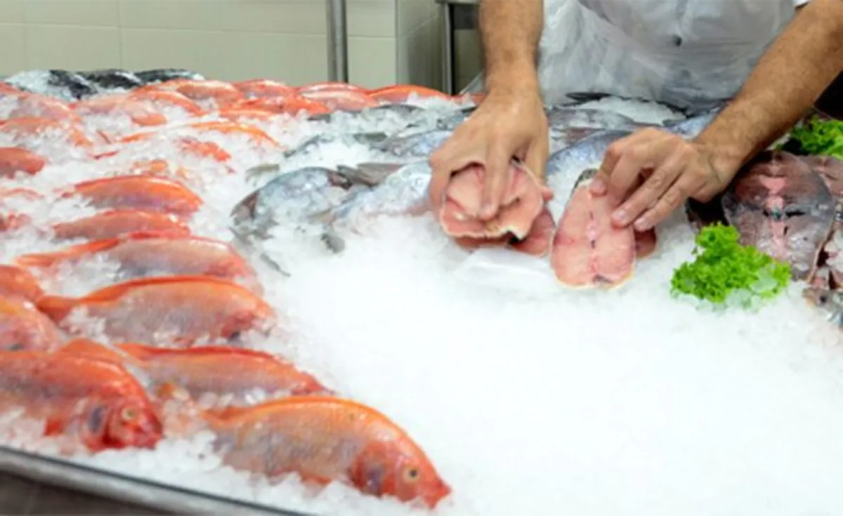 Colombia exportó 4.105 toneladas de pescado en enero, un crecimiento del 16,82 %