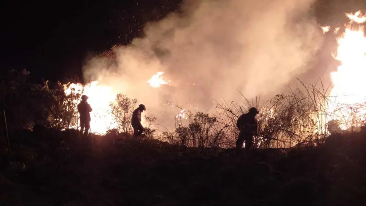 Bomberos y soldados luchan contra incendio en el Parque Nacional Natural Chingaza