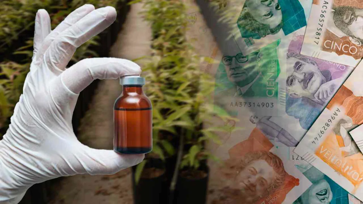 Colombia aprueba la venta de cannabis medicinal en farmacias a personas con aval médico