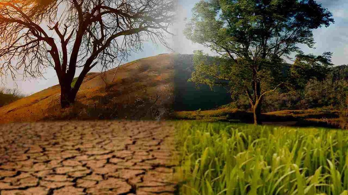 Amenazas globales para 2025: Conflictos armados, desinformación y cambio climático