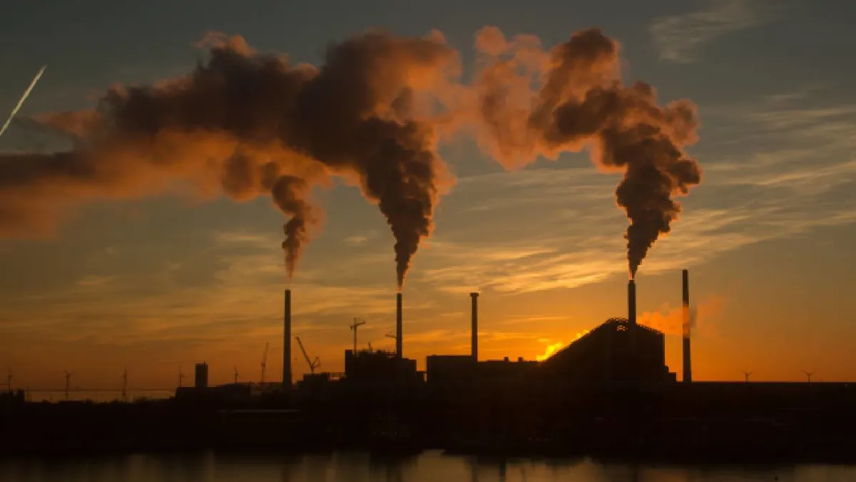 OMS: La lucha contra el cambio climático puede salvar 2 millones de vidas