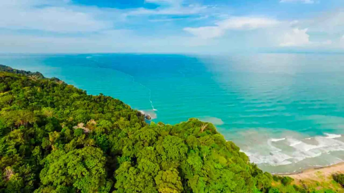 La Unesco declaró la séptima reserva de biosfera en Colombia: el Darién Norte Chocoano