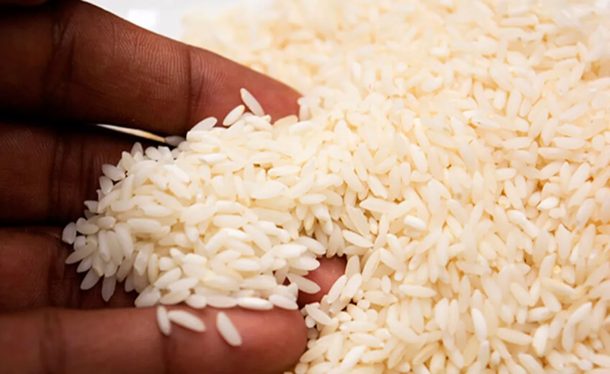 Arroceros del Tolima exportarán 1.400 toneladas anuales a Cuba