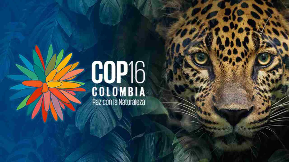 La COP16 de Biodiversidad llega a Cali, la Sucursal del Cielo