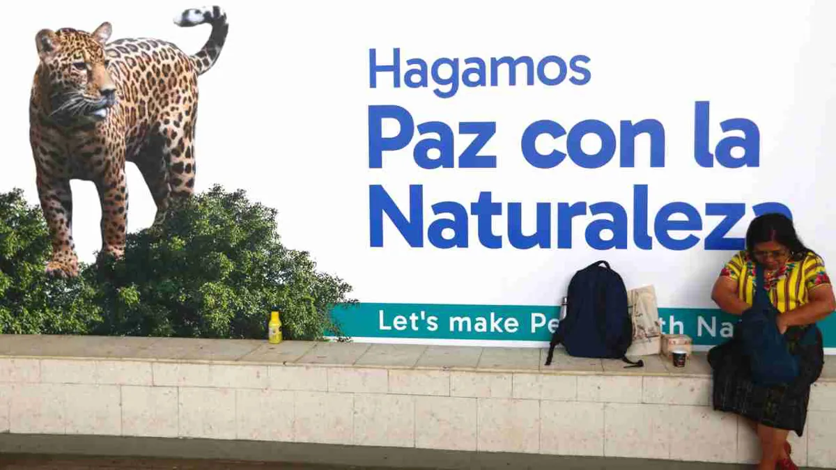 Negociación en COP16 avanza lenta pero es fluida, mientras piden más compromiso a países