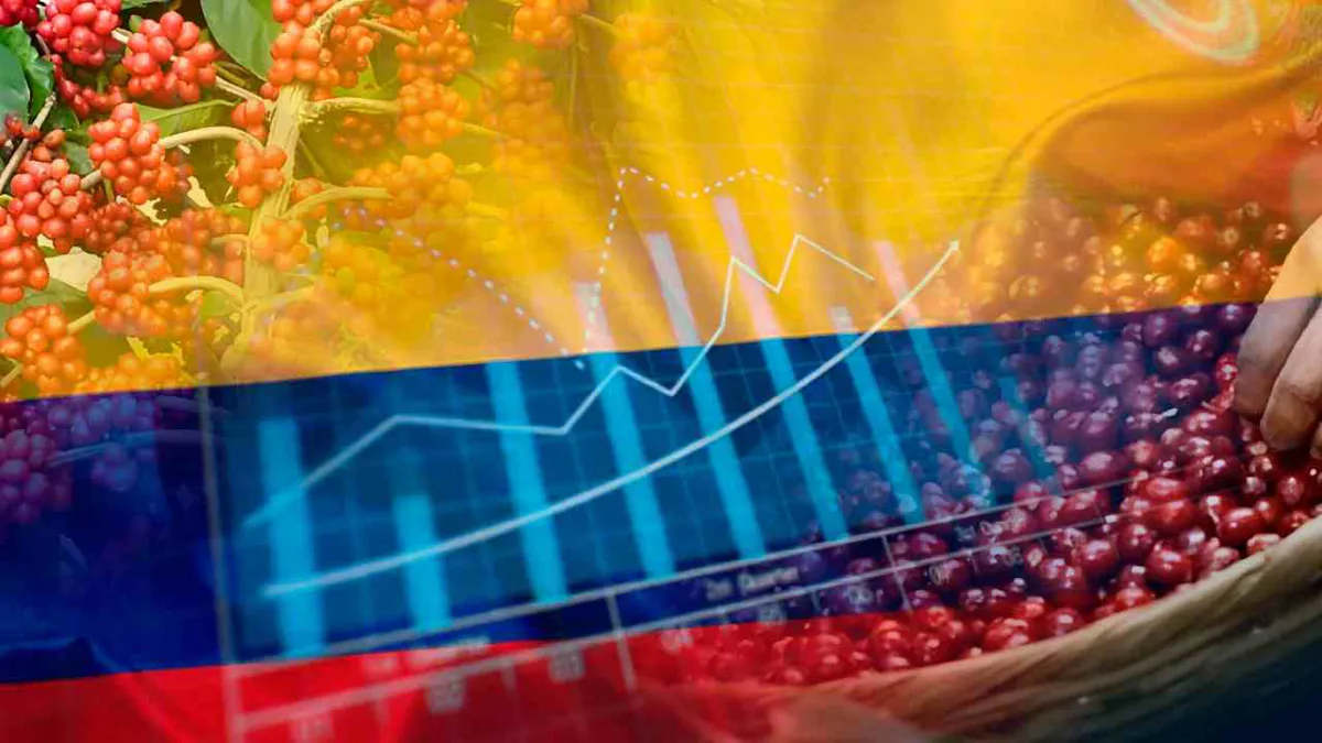 Colombia supera su meta anual de producción de café y llegará a 13 millones de sacos