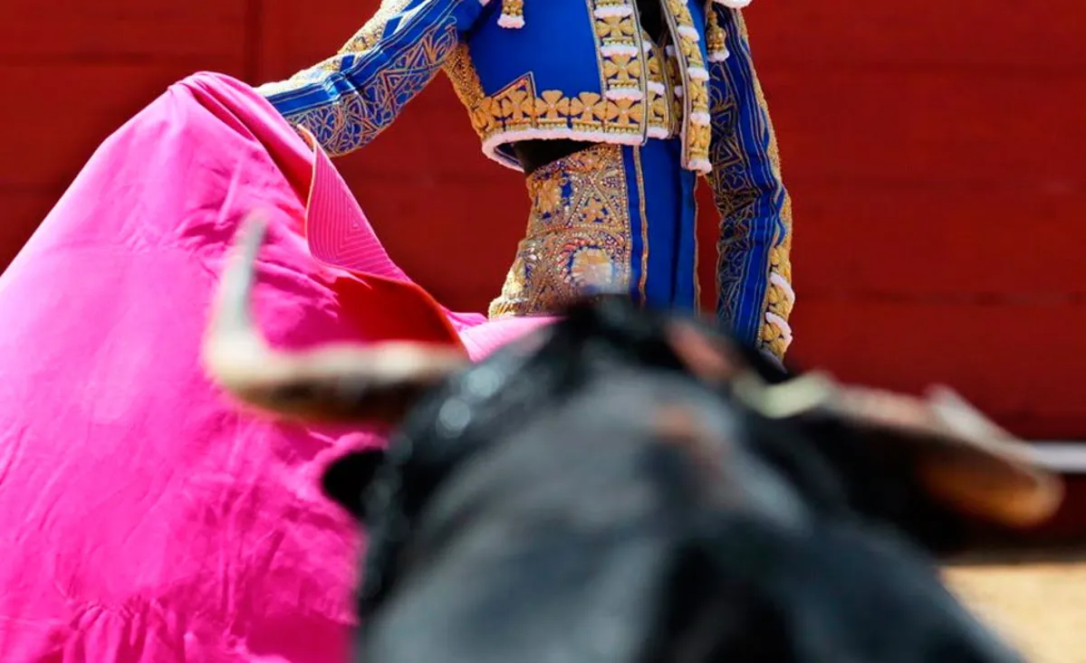 Aprueban un proyecto de ley que prohíbe las corridas de toros en todo el país
