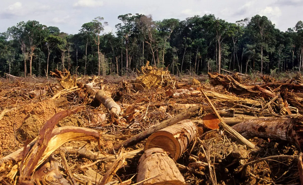 Gobierno trabaja con comunidades en un plan para contener la deforestación en la Amazonía
