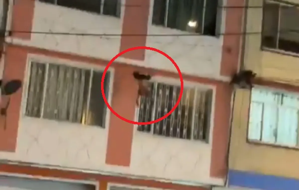 Niño colgando del cuarto piso en Bogotá: rescate en Suba evitó tragedia
