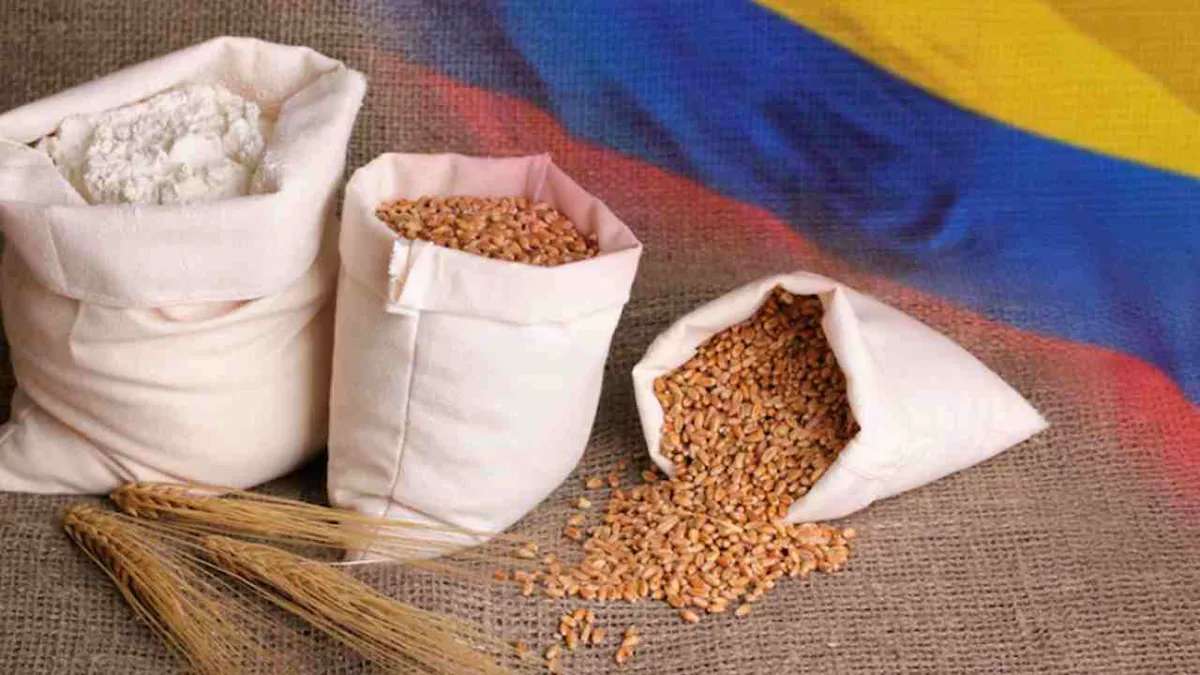 Fenalce: Colombia produce sólo el 15% de los cereales que consume
