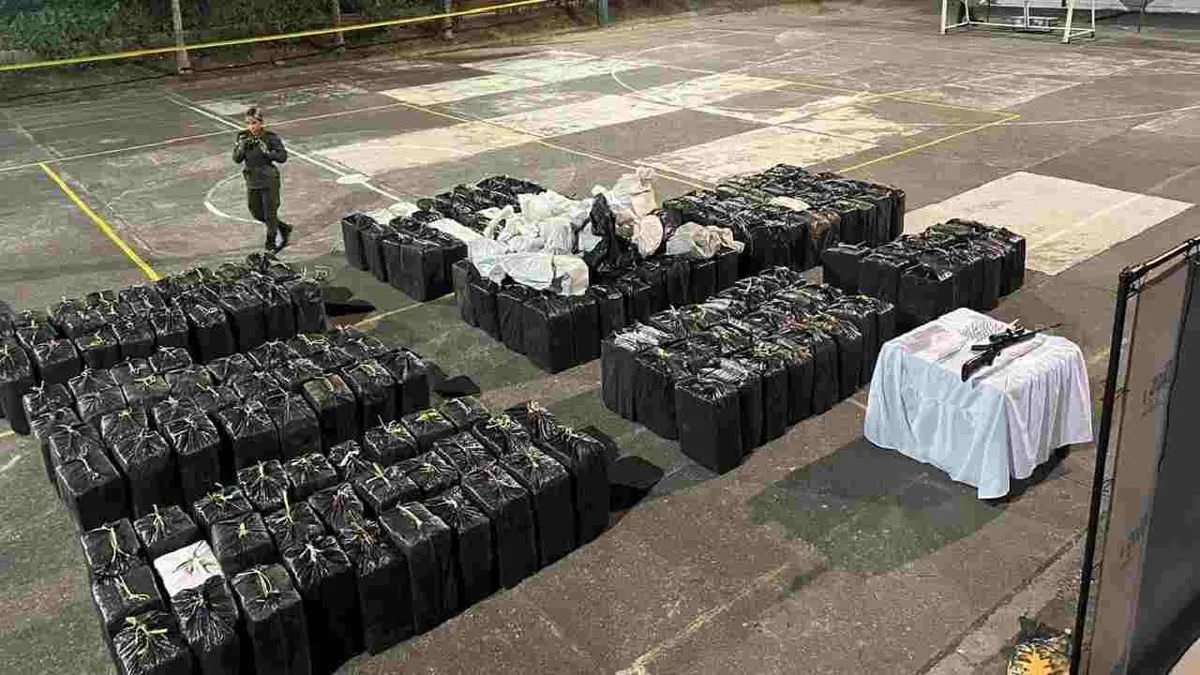 Incautan 5,6 toneladas de cocaína del Clan del Golfo en Antioquia