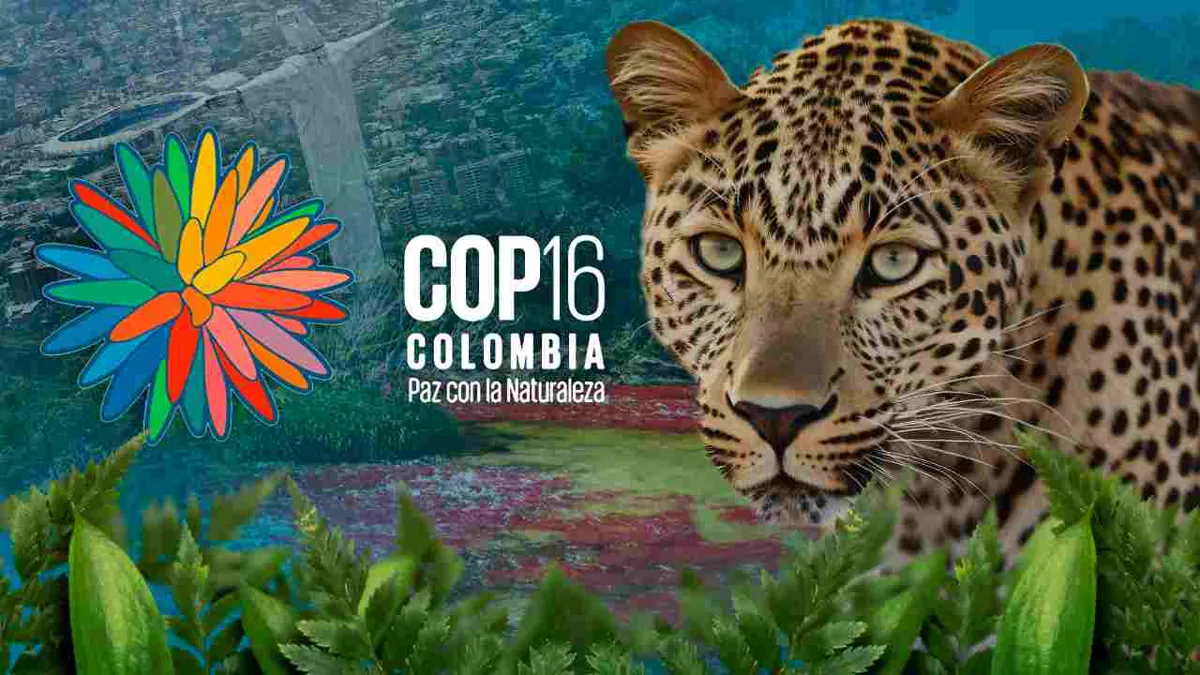 Claves para entender la COP16 de Biodiversidad que se celebrará en Cali