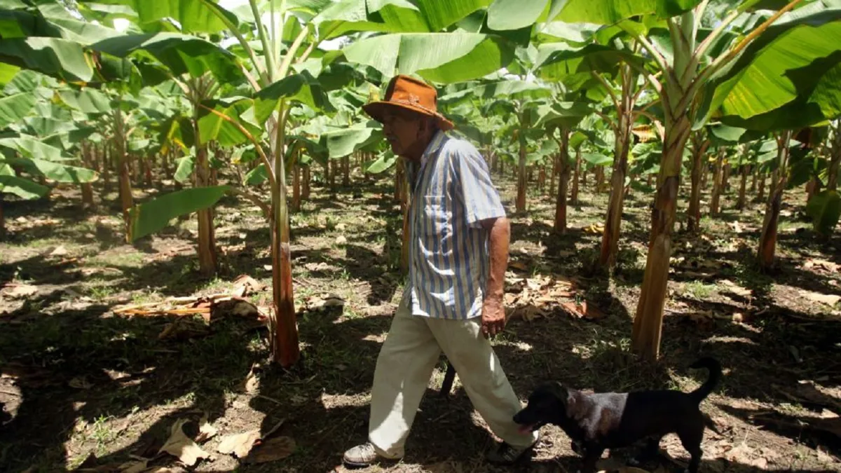 ONU ve avances en reforma rural pero pide agilidad para cumplir acuerdo de paz