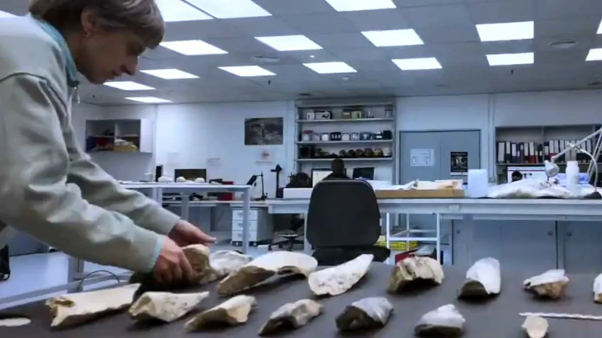 Descubren las primeras hachas de hueso de la historia, de hace 1,5 millones de años