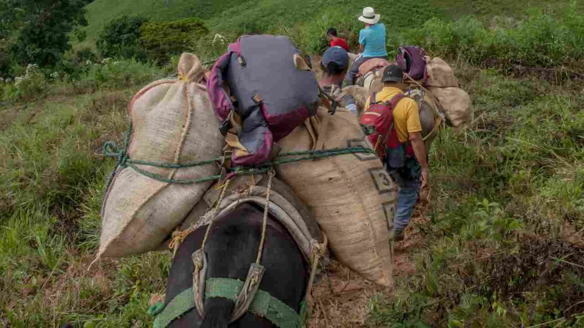 América Latina enfrenta seis grandes crisis humanitarias que dejan 23 millones de desplazados