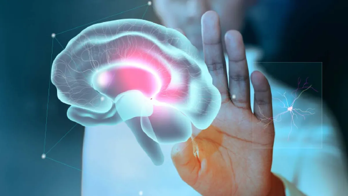 IA detecta diferencias cerebrales entre hombres y mujeres