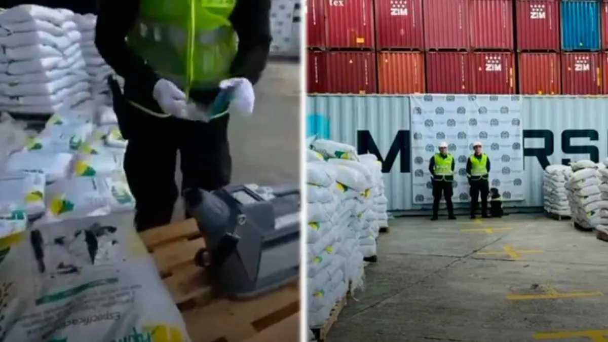 Incautan 8,2 toneladas de cocaína en Buenaventura