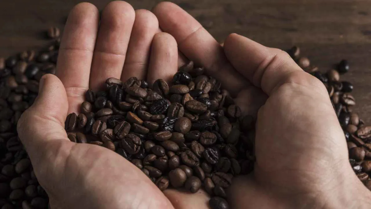 Colombia cuenta con 6,2 millones de hectáreas aptas para la producción de café