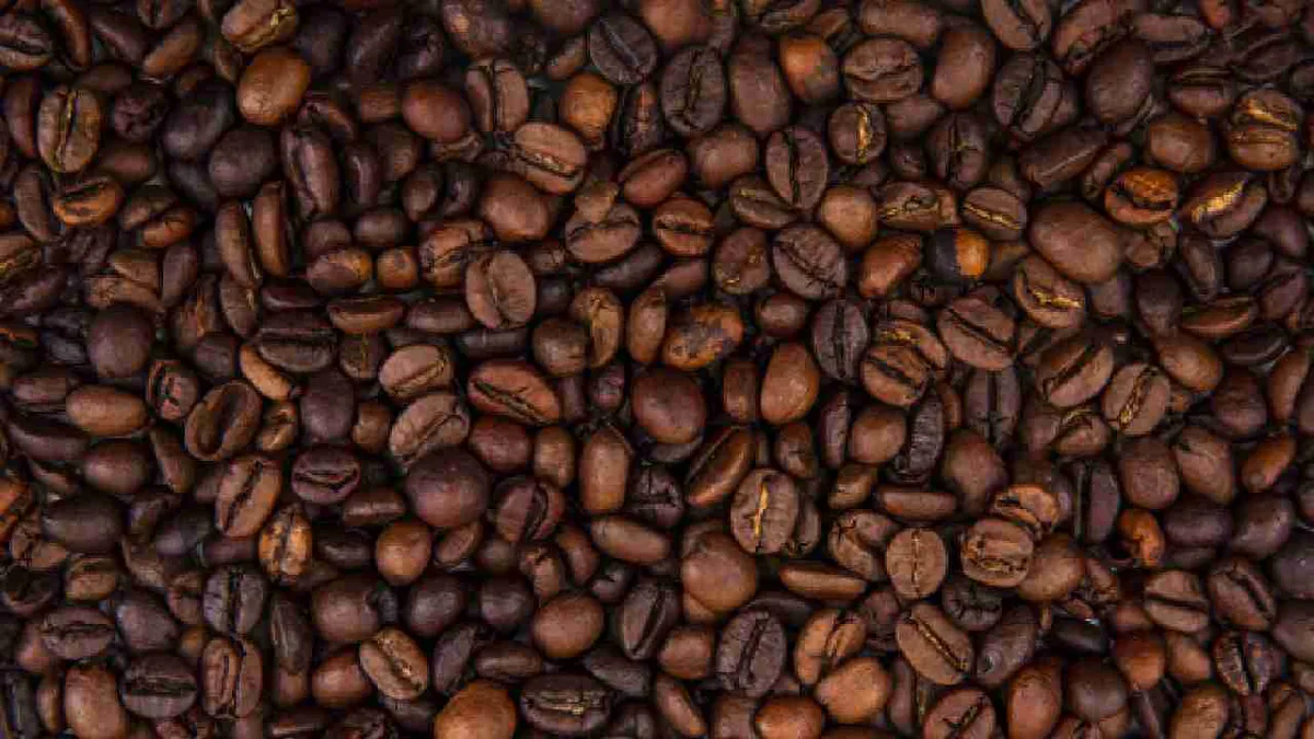 Colombia registra la mayor producción de café en 29 años en los últimos 12 meses