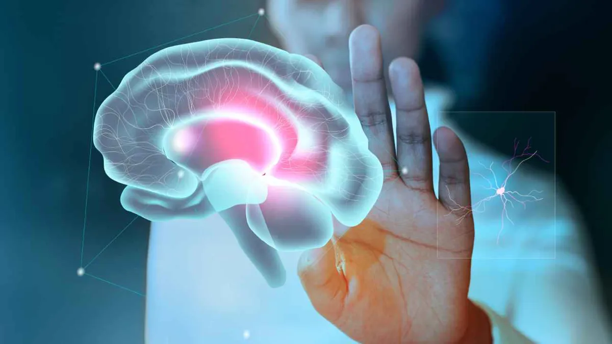 Crean herramienta para evaluar competencia cognitiva de jóvenes ante riesgos de las redes sociales