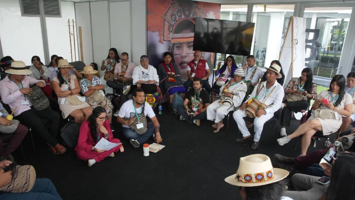 La COP16 reconoce contribución de indígenas y afrodescendientes a cuidado de biodiversidad