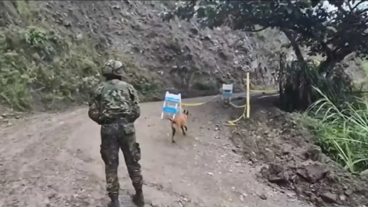 Tropas de la Brigada 23 frustraron atentado con seis cilindros explosivos en vía de Nariño