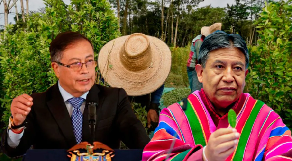 Petro propone a vicepresidente boliviano colaborar para combatir los cultivos de coca