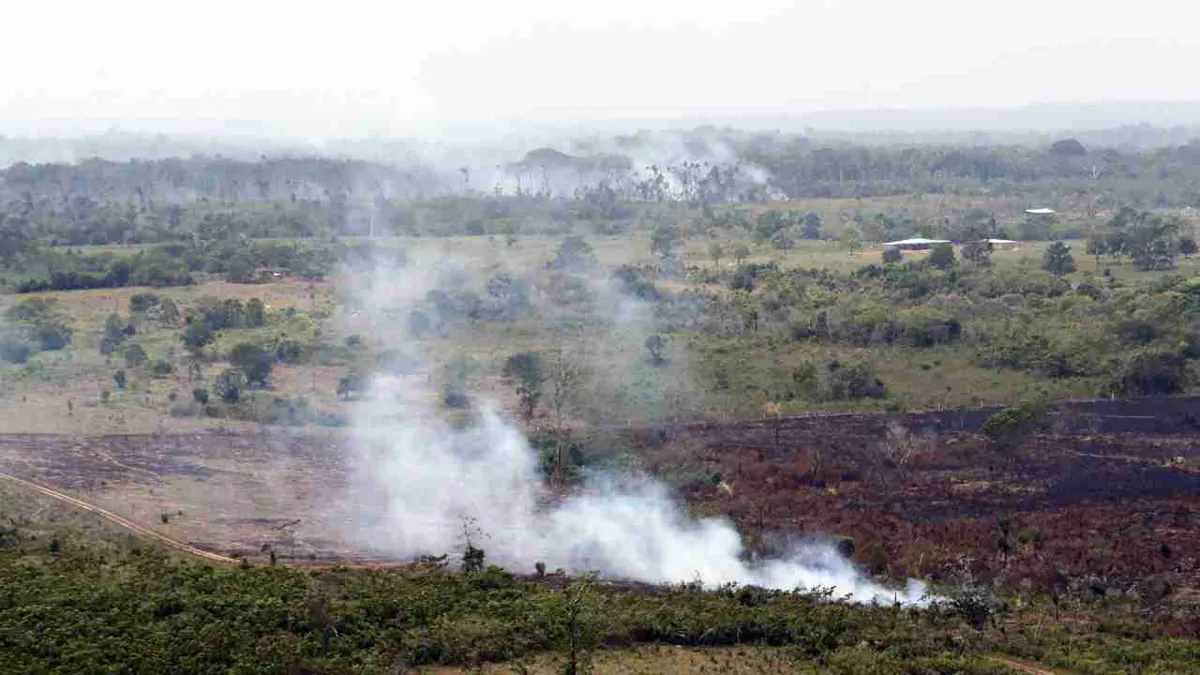 Los ecosistemas de Latinoamérica y las amenazas que enfrentan, una prioridad en la COP16