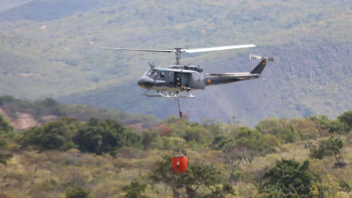 Incendio consume más 250 hectáreas de bosques del departamento del Tolima