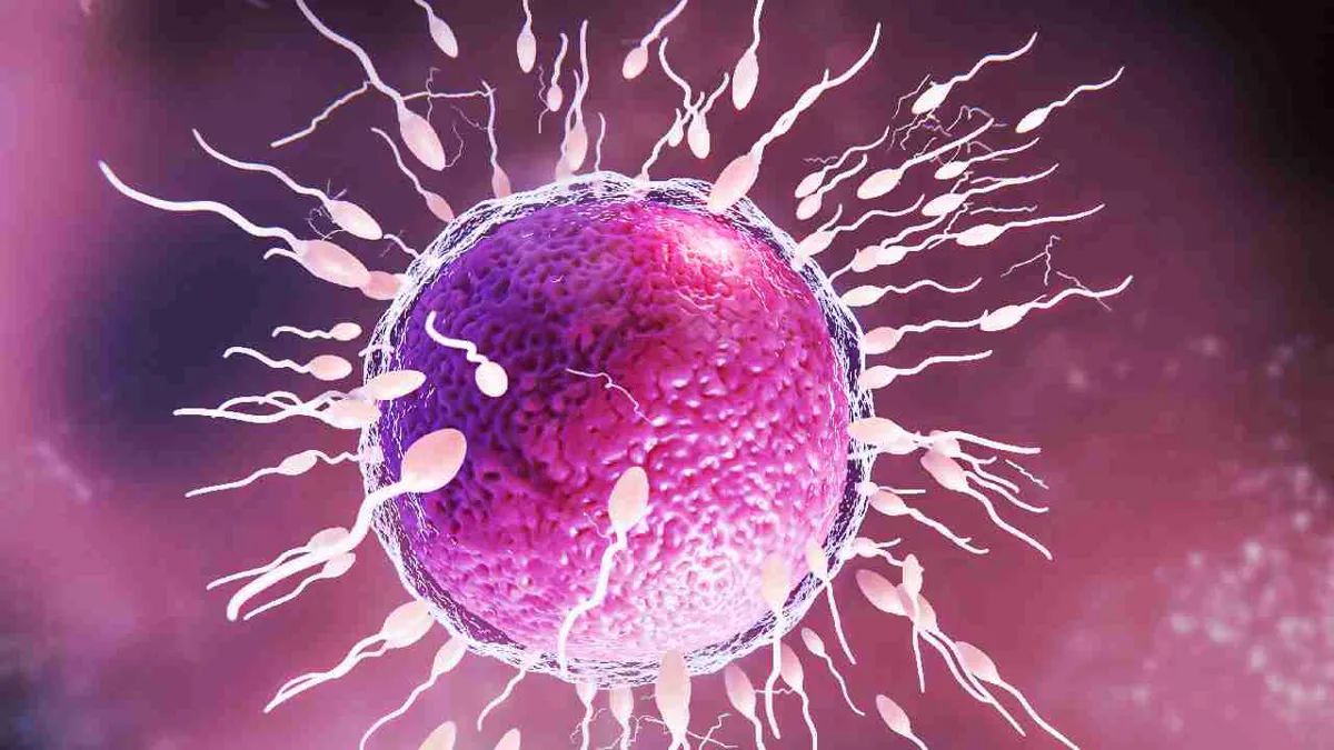 Científicos estudian un nuevo gel anticonceptivo para hombres