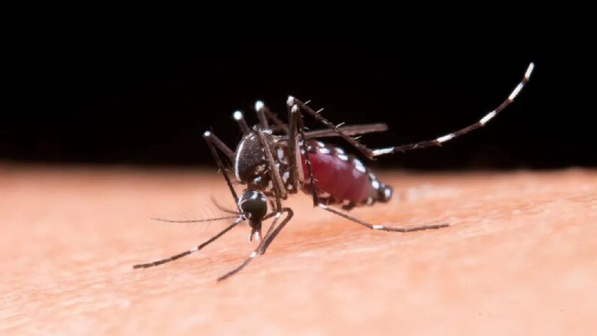 Vacuna contra el dengue es probada con éxito en Suiza